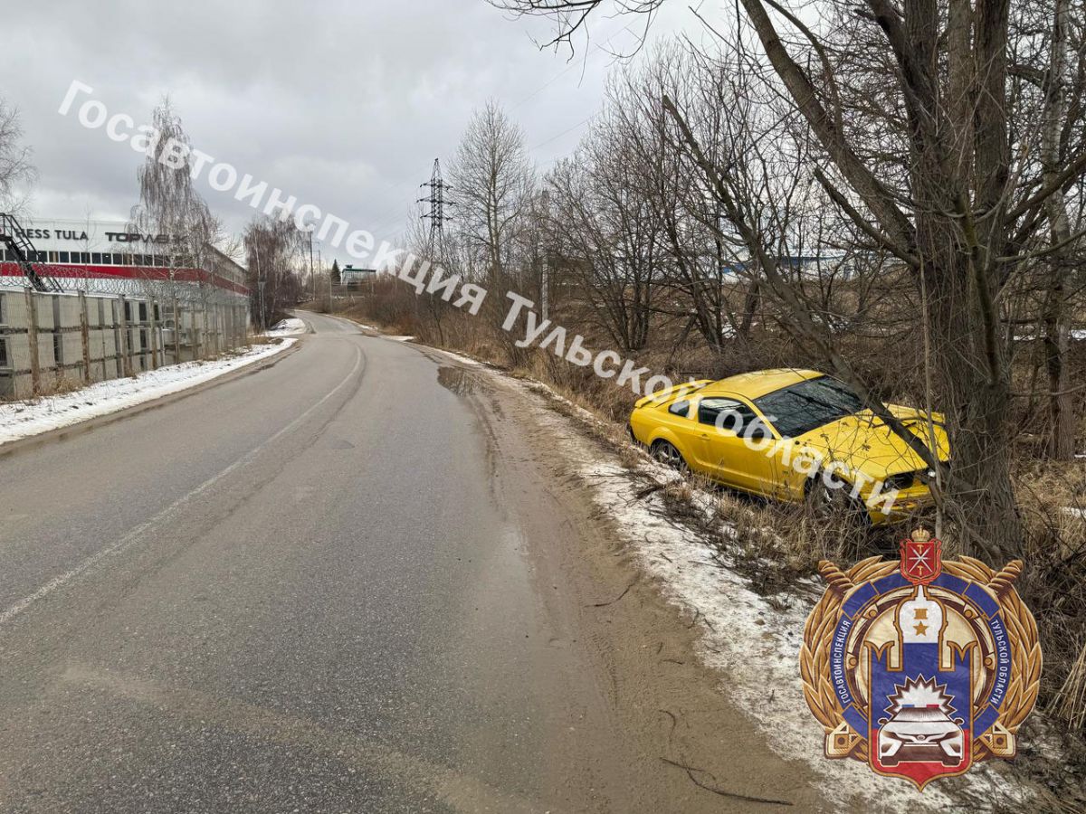 В тульском Обидиме «Мустанг» оказался за обочиной  Авария произошла накануне утром в поселке Обидимо городского округа Тулы. На улице Костина водитель автомобиля «Форд Мустанг» не справился с управлением.  Подробнее   Подписаться