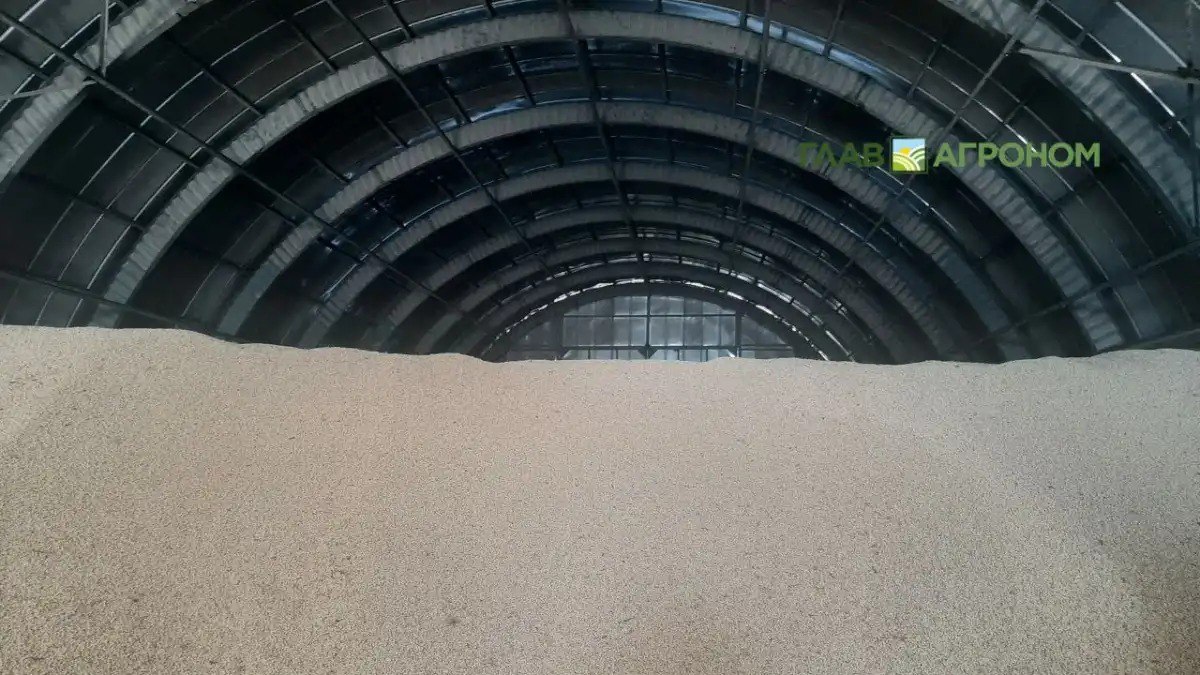 Белстат отчитался о производстве сельскохозяйственной продукции в 2025 году Подробнее в цифрах