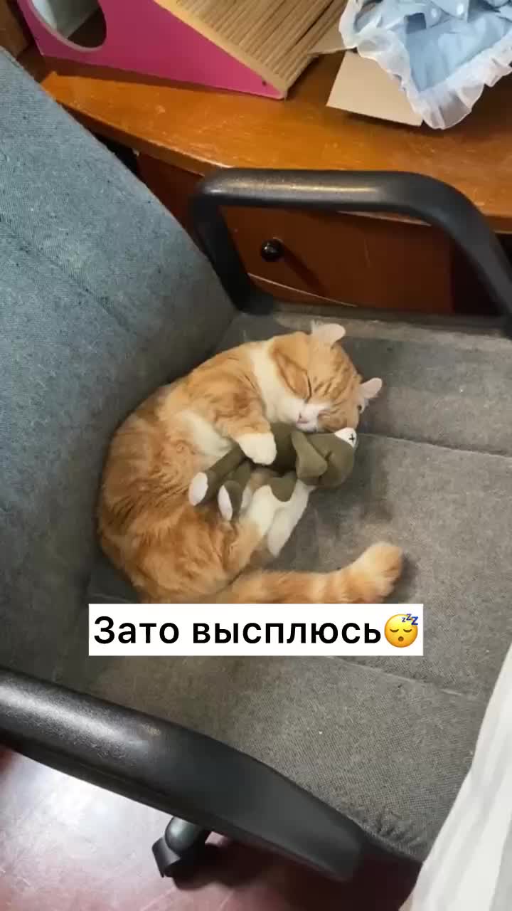 Самая длинная ночь года: 21 декабря в Москве продлится более 17 часов