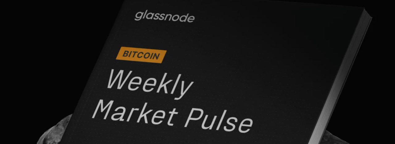 Glassnode: Крипторынок остывает — эйфория сменяется осторожностью  Основные сигналы:    Продавцы активизировались — Spot CVD и Perp CVD указывают на усиление давления   ETF-притоки упали на 24,9% — институционалы сбавляют обороты   Растёт спрос на хеджирование — 25 Delta Skew достиг 5,51%, инвесторы страхуются от падения   BTC-сеть замедляется — меньше переводов и комиссий, несмотря на рост активных адресов   Прибыльных BTC стало меньше — только 93,6%   RSI = 35,8 — биткоин в зоне перепроданности   Продавцы выдыхаются — есть потенциал для отскока, если появится позитив  Рынок не рухнул, а перешёл в фазу переоценки. Инвесторы больше не бегут за ростом — они ищут баланс.