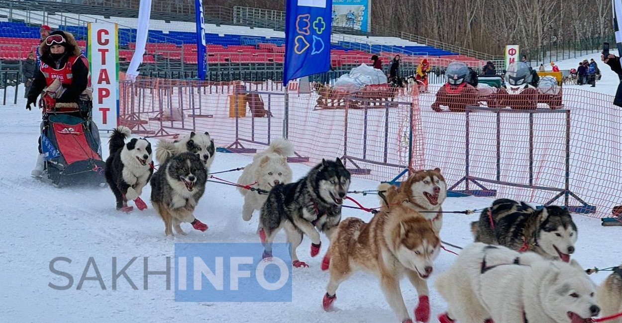 В Камчатском крае стартовала гонка "Берингия-2025"  8 марта в Камчатском крае открылась традиционная гонка на собачьих упряжках "Берингия". Гонка-пролог на 10 километров прошла на зимнем спортивном комплексе "Оленгендэ", участники определили порядок старта на главную дистанцию.    Первое место в прологе занял Александр Кривогорницын,  второе — Алексей Попов,  а третье — Николай Левковский.  "Гонка становится молодёжной, в ней участвуют новые лица. Это значит, что традиции продолжаются, и в гонках участвуют дети и внуки прежних каюров,"  — сообщил директор Камчатского выставочно-туристического центра Александр Журавлёв.  Перед началом гонки было принято несколько решений. Из-за плохой погоды старт перенесли с 9 на 10 марта. Также стало известно, что два каюра не участвуют: Андрей Притчин из-за здоровья и София Яганова по своему желанию.  В этом году каюры пройдут около 1 425 километров по снежным просторам полуострова, финиш ожидается 5 апреля в Усть-Камчатске.  #Берингия-2025