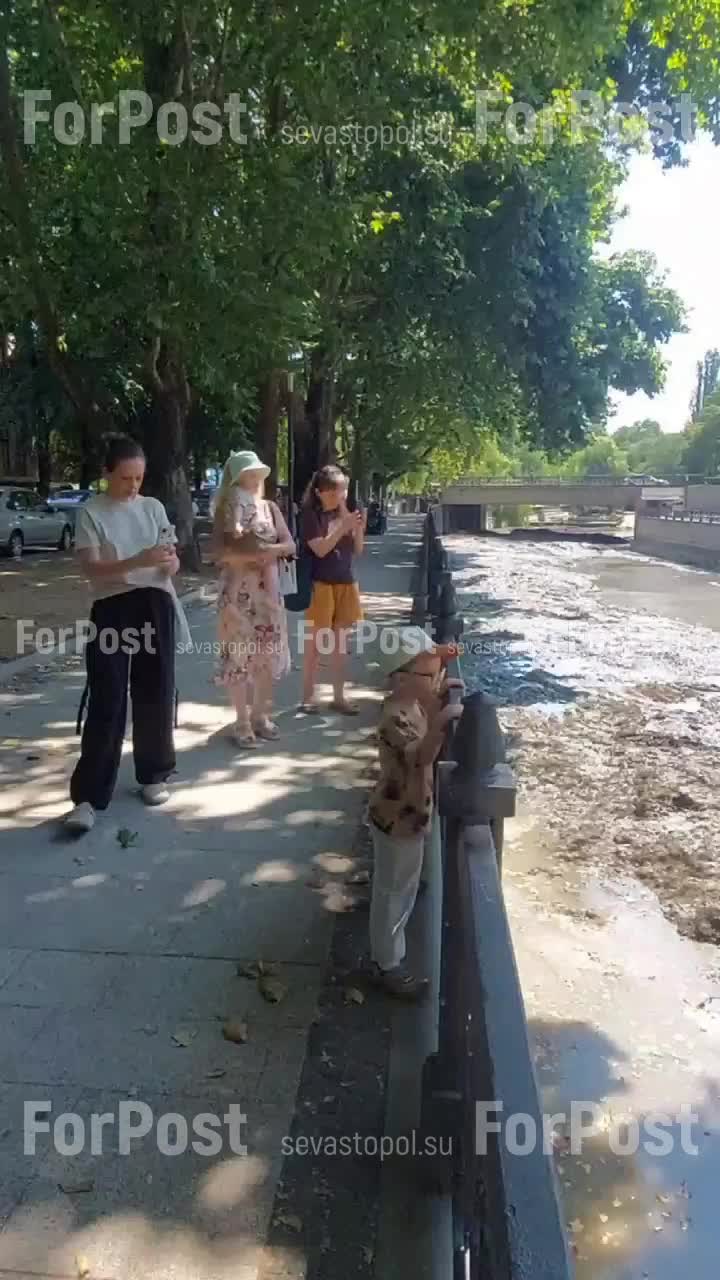 В Симферополе стартовали работы по очистке русла реки Салгир