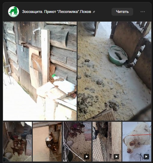 Чиновницу из Псковской области уволили после жестокого обращения с десятками собак сообщил губернатор Михаил Ведерников Волонтеры из организации Зоозащита ранее опубликовали пост в ВК где попросили помочь найти десятки собак живших у чиновницы которых она бросила на дороге между Псковом и Гдовом Одну собаку привозили в приют обморожены лапы Только что позвонили ещё одна собака в том же месте спаниель Все собаки истощены понос рвота говорится в сообщении активистов Светлана Удовенко в правительстве больше не работает Правовая оценка ее действиям обязательно будет дана над выяснением всех обстоятельств работают правоохранительные органы С нашей стороны сразу после поступления информации была инициирована служебная проверка написал глава региона   Telegram MAX Читать эксклюзив