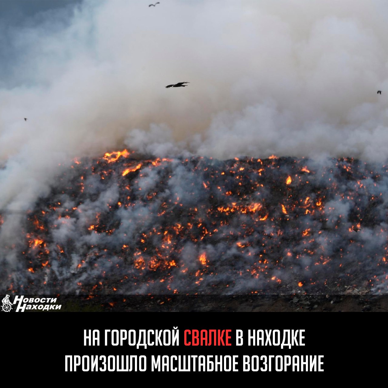 В ночь на 2 июня на городской свалке твердых бытовых отходов произошло масштабное возгорание. По предварительной информации, причиной ЧП стал тлеющий мусор, привезенный на полигон днем ранее. Спецтехника компании-оператора «Чистый город» ведет работы по локализации пожара особенным методом — горящие отходы пересыпают грунтом, так как традиционные способы тушения на таких объектах запрещены. Густой едкий дым распространился по всему городу, вызвав беспокойство жителей.