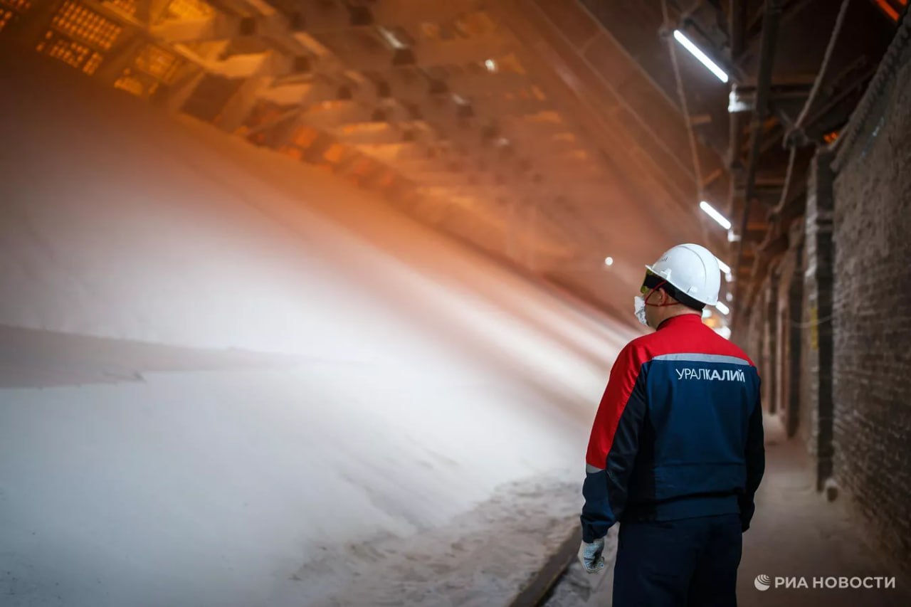 Россия в январе сентябре поставила в ЕС удобрений на 1 3 млрд что стало максимальным значением за три квартала с 2022 года подсчитало РИА Новости Крупнейшим покупателем как и год назад была Польша 37 На втором месте оказалась Германия с долей в 10 а на третьем Румыния 9 Подписаться на РИА Новости экономика Все наши каналы