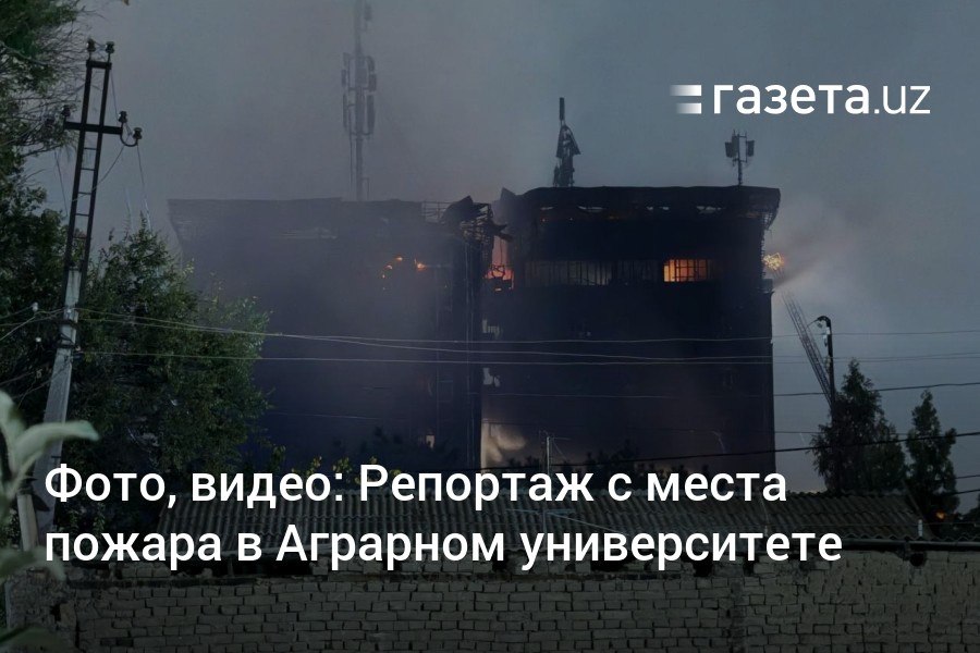 На тушение пожара на территории Аграрного университета ушло два часа. Работами руководил глава МЧС Узбекистана. На место прибыло более 15 единиц пожарной техники. Пострадавших нет. Корреспонденты «Газеты.uz» наблюдали за тушением огня.     Telegram     Instagram     YouTube