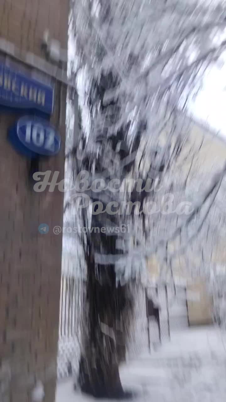 В Ростове-на-Дону упало 41 дерево из-за снегопада