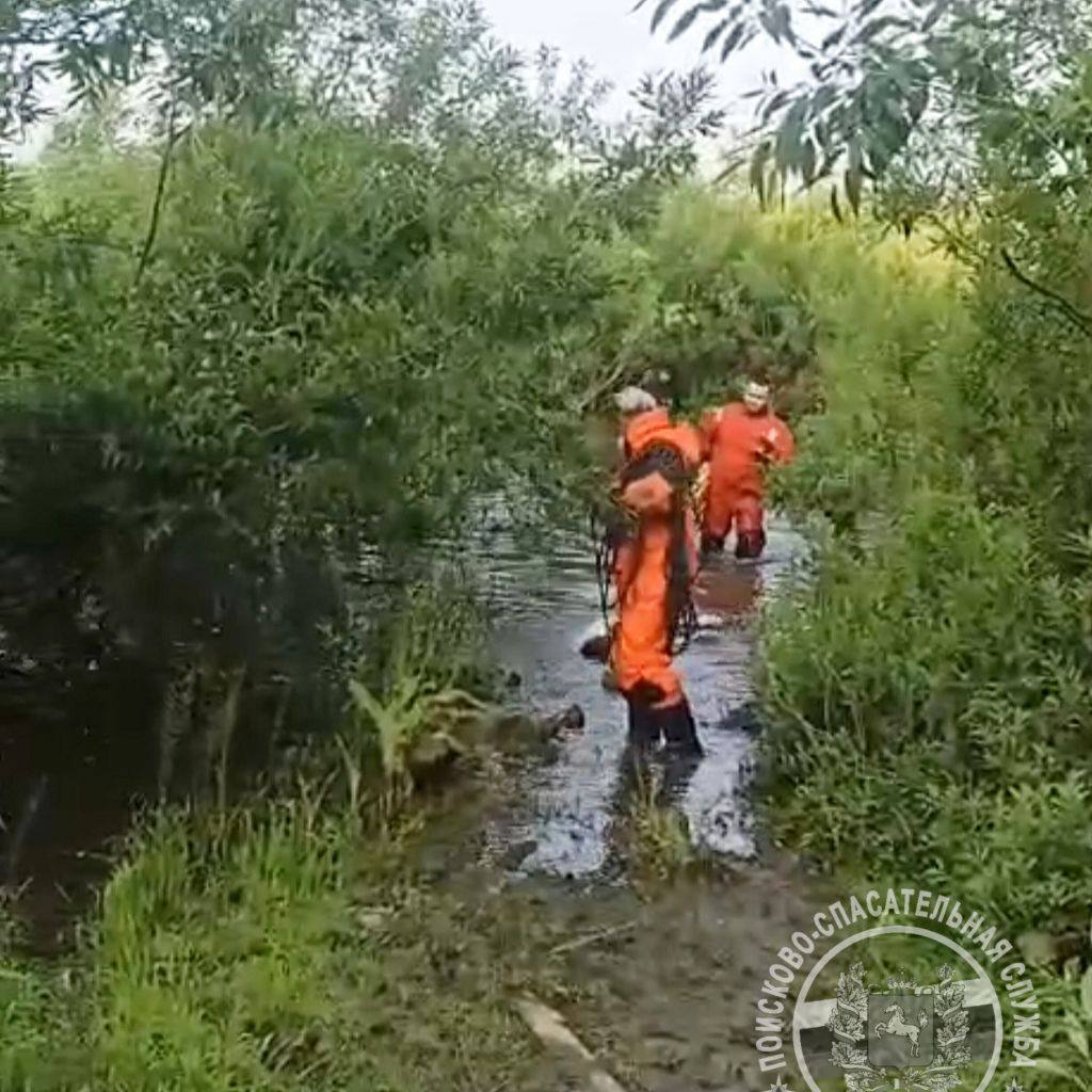 В районе Буревестника обнаружили еще одного утонувшего человека Сегодня утром спасателям поступило сообщение от Кировского РОВД, что в районе Буревестника на р.Томь обнаружен утонувший человек. На месте происшествия спасатели Томской областной поисково-спасательной службы ПСО «Центральный» с применением гидрокостюмов транспортировали тело погибшего на берег.