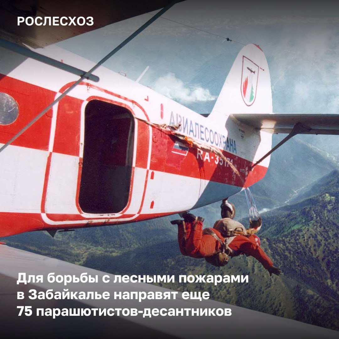 В Забайкалье дополнительно направят парашютистов-десантников для тушения лесных пожаров. Рослесхоз принимает все необходимые меры для стабилизации лесопожарной обстановки, включая привлечение дополнительных сил и средств, а также усиление мониторинга лесов. «Обстановка с пожарами в Забайкалье остается напряженной. Рослесхоз по запросу властей субъекта направляет в край силы межрегионального маневрирования. Группировка сил и средств наращивается для стабилизации обстановки. Так, в регион будут направлены дополнительно еще 75 парашютистов-десантников из Приморского края. Привлечение дополнительных сил позволит эффективнее бороться с лесными пожарами, своевременно обнаруживать очаги возгорания и вовремя ликвидировать их», - подчеркнул начальник Управления охраны лесов от пожаров Евгений Писаревский. О лесопожарной обстановке На 06:00 мск в Забайкалье тушат 33 лесных пожара на площади около 673,3 тыс. га. К ликвидации огня привлечено 1 887 человек и 207 ед. спецтехники.