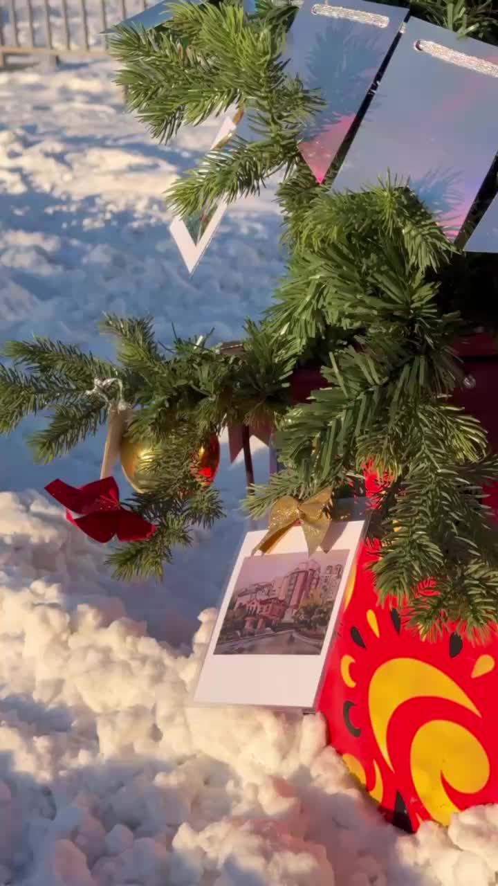 В Хабаровске стартовало голосование за лучшую новогоднюю елку