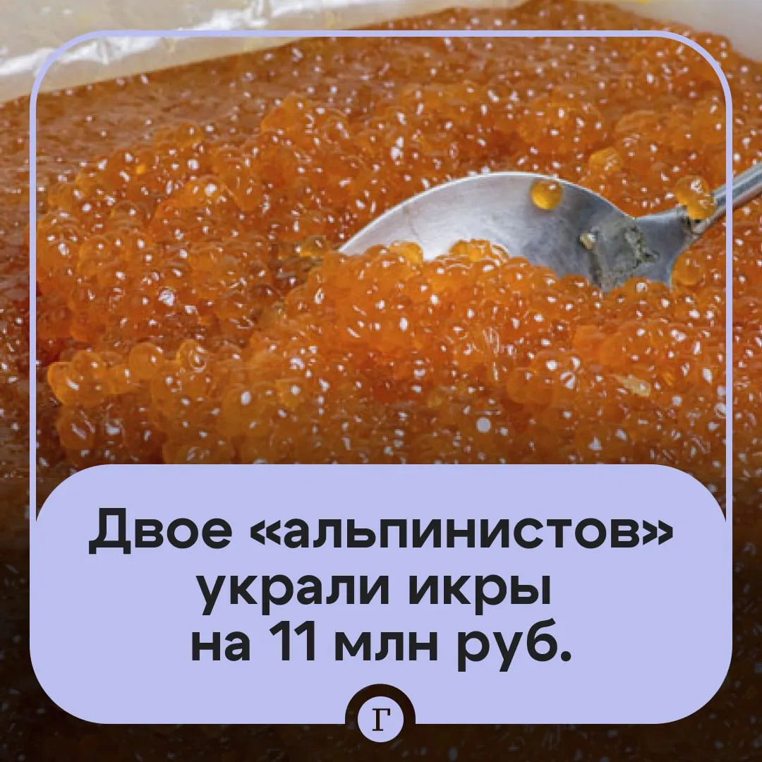 На Камчатке двоих приятелей альпинистов осудили за кражу икры на 11 млн рублей Мужчины с помощью альпинистского снаряжения балаклав и раций проникали на склады рыбообрабатывающих предприятий Они украли более 90 контейнеров с икрой на сумму около 11 млн рублей Их также обвиняли в покушении на кражу еще 27 упаковок икры стоимостью более 3 млн рублей Последнее похищение им не удалось вмешалась охрана и преступники сбежали оставив часть украденного Их быстро задержали В итоге суд назначил им условные наказания Читайте Газету Ru в MAX Розыгрыш iPhone 17