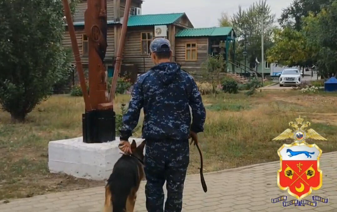Orenday Оренбург В Соль Илецке задержана местная жительница за поджог креста Женщина объяснила свои действия несогласием с местом установления религиозного атрибута