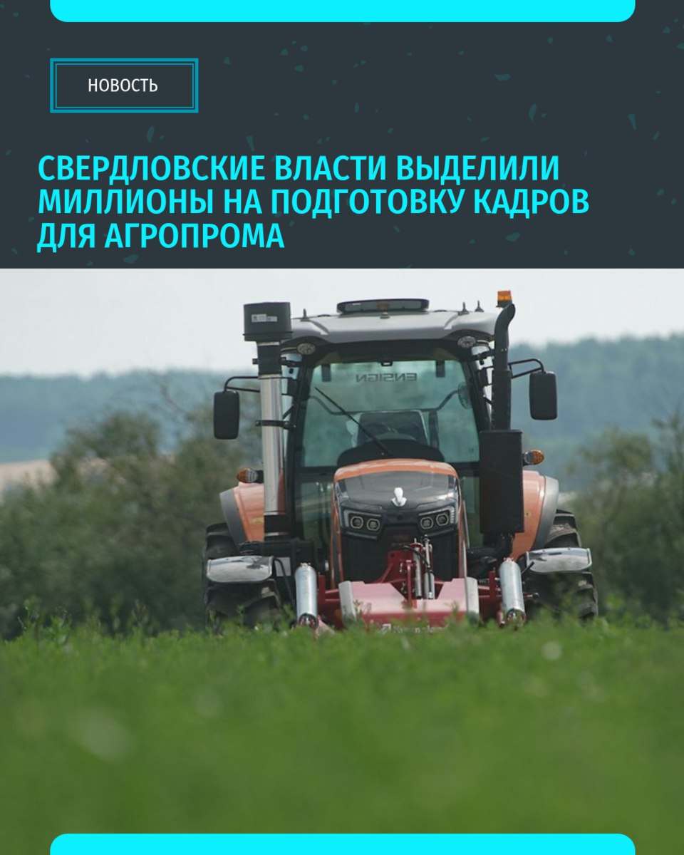 Врио губернатора Свердловской области Денис Паслер утвердил порядок предоставления субсидий сельскохозяйственным предприятиям региона по проекту «Кадры в АПК». Господдержка направлена на повышение уровня профессиональной подготовки будущих специалистов аграрного сектора экономики.  Планируется, что власти будут компенсировать часть затрат с/х организаций на заключение договоров целевого обучения со студентами профильных вузов и высших учебных заведений страны. Из областного бюджета на реализацию программы выделено около 2,1 млн рублей. Дополнительно выделят 4,6 млн рублей на оплату проживания студентов и еще 18,2 млн рублей — на поддержку ключевых проектов в отрасли.  За счет бюджетных средств сельхозпроизводители получат возможность вернуть до 90% понесенных ими затрат, связанных с подготовкой специалистов по таким профессиям, как трактористы-машинисты, животноводы, операторы машинного доения, слесари сельскохозяйственного оборудования и другие.   «Уральский меридиан»