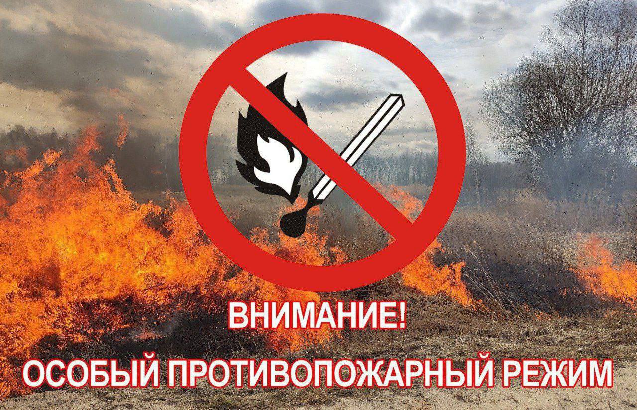 В границах городских и сельских поселений на территории всех муниципальных образований Рязанской области введен особый противопожарный режим: запрещено разводить костры, сжигать мусор, сухую траву и бытовые отходы. За нарушения требований пожарной безопасности в условиях особого противо пожарного режима штрафы увеличиваются: на граждан - от 10000 до 20000 рублей; на должностных лиц - от 30000 до 60000 рублей; на лиц, осуществляющих предпринимательскую деятельность без образования юридического лица - от 60000 до 80000 рублей; на юридических лиц - от 400000 до 800000 рублей.