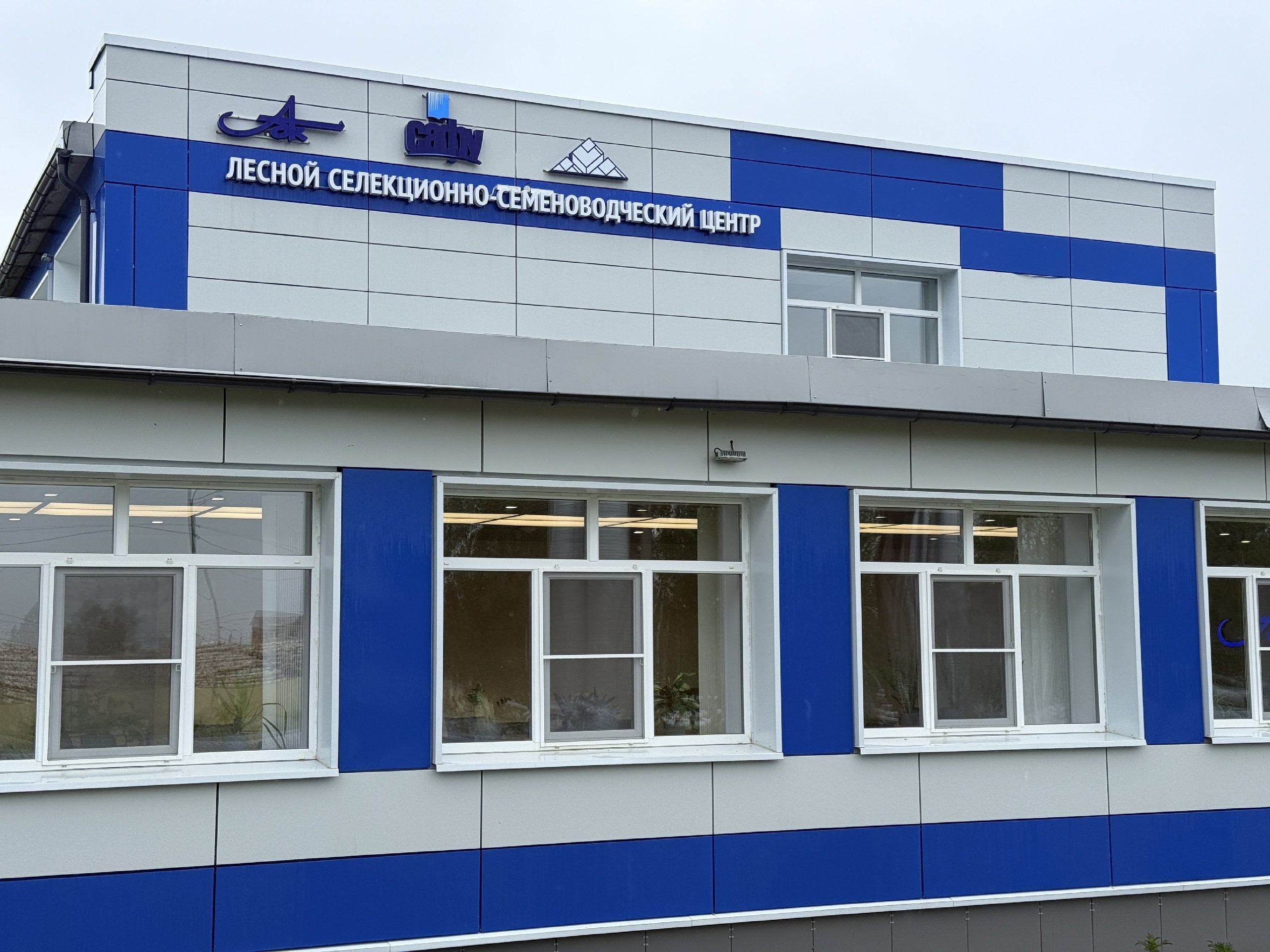 АЦБК предоставит саженцы для озеленения Архангельска: подписано соглашение Этим летом на базе комбината открылся селекционно-семеноводческий центр. Здесь начинают выращивать саженцы для лесовосстановления и озеленения городских территорий Новодвинска, Архангельска и Северодвинска. Под соглашением поставили подписи глава Архангельска Дмитрий Морев и генеральный директор Архангельского ЦБК Дмитрий Крылов. На церемонии присутствовал первый заместитель председателя регионального правительства Дмитрий Рожин. Для Архангельска это содействие своевременно: мы взяли курс на омоложение зеленого каркаса города. На смену аварийным тополям приходят деревья различных ценных пород. Уверен, что саженцы, которые Архангельский целлюлозно-бумажный комбинат предоставит для благоустройства, станут украшением столицы Поморья, - подчеркнул Дмитрий Морев. При этом лесовосстановлени является одной из задач президентского нацпроекта «Экологическое благополучие».