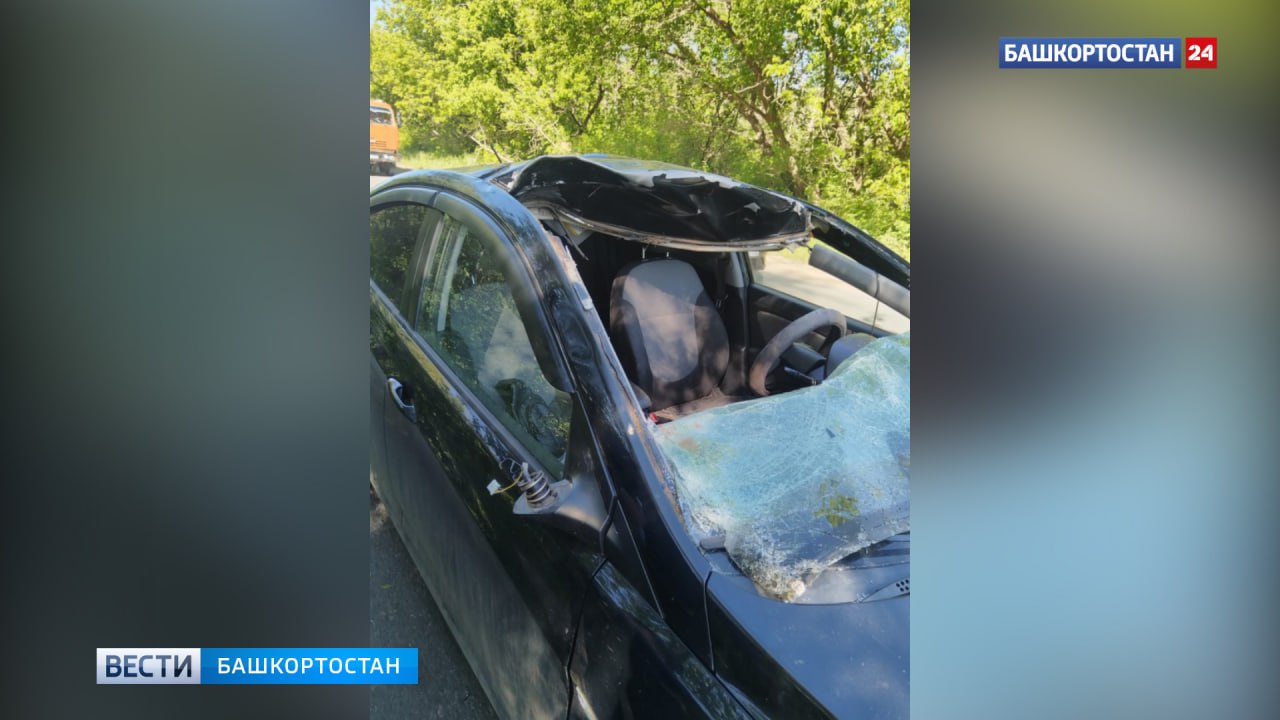В Уфе водитель Hyundai Solaris насмерть сбил лося В Орджоникидзевском районе Уфы водитель Hyundai Solarisсбил лося. К сожалению, животное погибло. Автомобиль получил серьезные повреждения. "Оставление места аварии является нарушением ПДД. Даже если водитель не признан виновным, обязанность возмещения ущерба сохраняется. Если автомобиль застрахован полисом ОСАГО, компенсация вреда окружающей среде производится страховщиком. Когда автогражданская ответственность не застрахована, расходы покрываются владельцем транспорта самостоятельно. Просьба ко всем автомобилистам проявлять повышенную бдительность и аккуратность на дорогах, особенно в условиях недостаточной видимости вечером и рано утром", - напомнили в Минэкологии РБ. Подписаться Сообщить новости