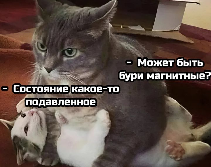 Хабаровск встретит геошторм в середине недели     Уже с начала рабочей недели нашу планету захлестнёт сильная магнитная буря. Её влияние резко усилится во вторник и среду до отметки 5–6 баллов.   У тех, кто чувствителен к изменениям погоды, возможны головные боли, упадок сил, проблемы со сном и необъяснимая грусть  но не из-за работы . Техника и средства связи могут вести себя непредсказуемо.     Если вы ощущаете малейшие изменения в атмосфере Земли, позаботьтесь заранее о питьевой воде, необходимых лекарствах и постарайтесь избегать конфликтов.