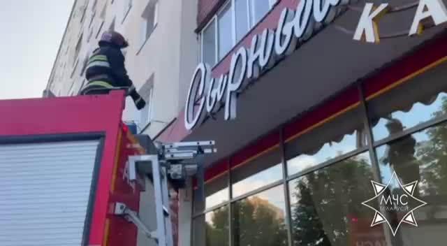 Спасатели успешно эвакуировали кота из затруднительного положения в Биробиджане и Солигорске