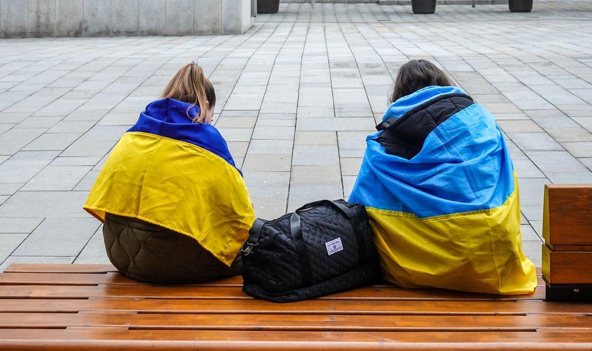 Вильнюсский муниципалитет при сотрудничестве с публичным учреждением Miliūtė передал городу Новоселица в Черновицком районе Украины автомобили мобильные телефоны и компьютеры По данным муниципалитета помощь собирали по просьбе мэра Новоселицы Марии Никорич На этот раз мы передали техническое оборудование и транспортные средства городу Новоселица но на этом мы не останавливаемся ищем возможность осуществить просьбы других обратившихся к нам городов Мы готовы помогать столько сколько потребуется сказал мэр столицы Валдас Бенкунскас Всего в Украину передали 5 автомобилей 20 телефонов и 50 компьютеров С начала масштабного вторжения в Украину город Новоселица принимает жителей Украины из других регионов страны предоставляя им временное убежище гуманитарную помощь помогает интегрироваться www delfi lt a 120140158