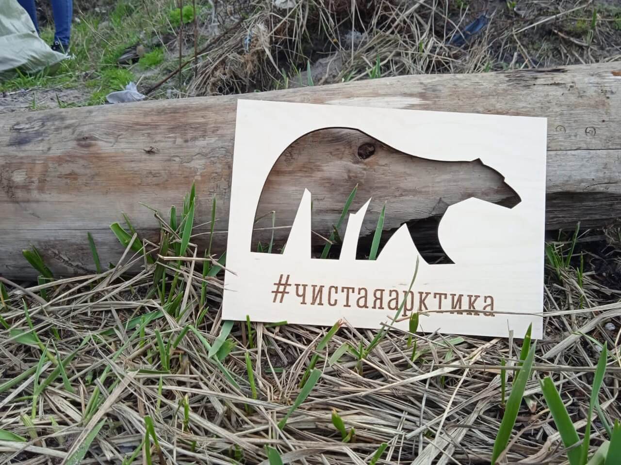 В 2026 году федеральный проект Чистая Арктика расширяет свою работу в Якутии Волонтёры займутся уборкой ещё в 6 районах республики Аллаиховском Анабарском Булунском Верхоянском Нижнеколымском и Усть Янском Главная задача убрать тонны металлолома и бытового мусора которые остались со времён промышленного освоения Севера Эти отходы вредят хрупкой арктической природе поэтому их ликвидация станет приоритетной работой на ближайшее будущее  Проект действует в Якутии с 2021 года и уже дал свои результаты вице премьер правительства Якутии Ольга Балабкина рассказала что за 2025 год волонтёры собрали свыше 400 тонн отходов а общий вес убранного за всё время металлолома превысил 2 тысячи тонн