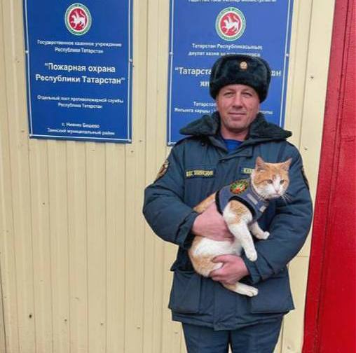 Спасённый кот стал талисманом пожарной части в Заинском районе Татарстана При тушении нежилого дома пожарные нашли раненого кота и не раздумывая забрали его с собой Вот уже несколько лет кот по кличке Пожарный 65 живет в здании поста Цифра в его имени символична под таким номером значился дом из которого его спасли Казань на Максималках