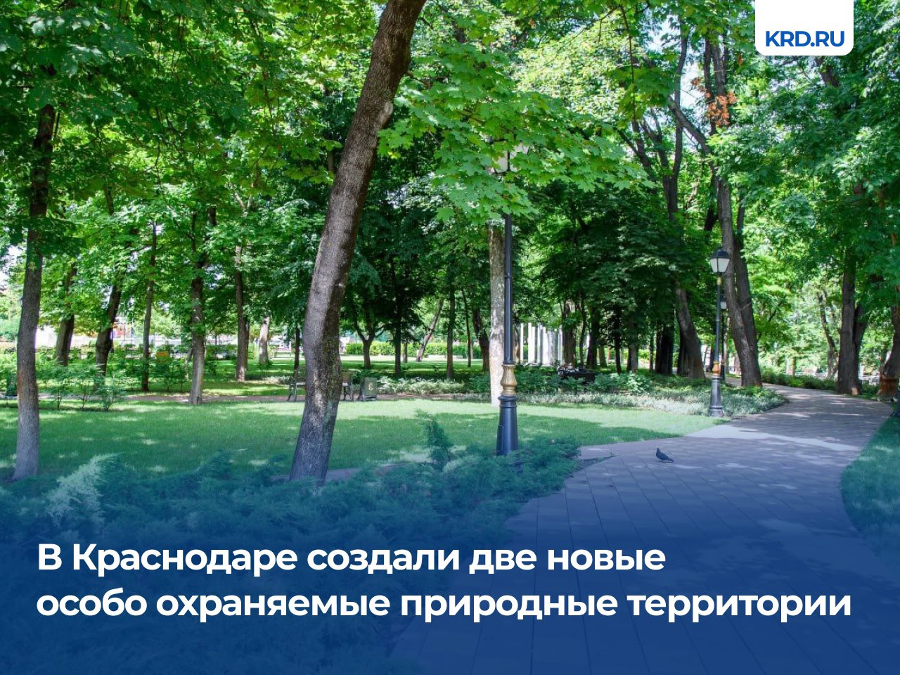 Статус особо охраняемых природных территорий получили Вишняковский сквер и городской сад «Сосновый». Решение приняли на 92-м очередном заседании Гордумы. Общая площадь ООПТ местного значения Краснодара увеличилась до 318 гектар. Как отметил директор департамента городского хозяйства и ТЭК Олег Шишковский, принятые решения позволят создать условия для сохранения ландшафтов на этих территориях. На этих землях запрещены застройка и любые виды хозяйственной деятельности, которые могут негативно отразиться на животном и растительном мире. #благоустройствоКРД Читайте нас: Телеграм ВК Дзен