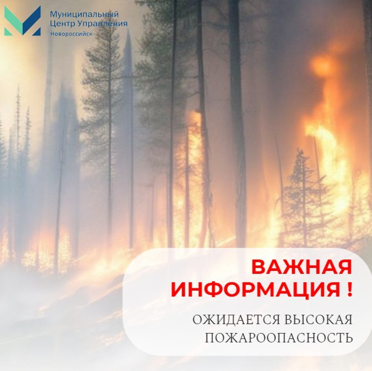 Уважаемые граждане!  По данным штормового предупреждения Краснодарского ЦГМС:  В период 30 и 31 июля 2025 на Черноморском побережье ожидается высокая пожароопасность 5 класса.  Следите за сообщениями средств массовой информации, телевидения, радио.