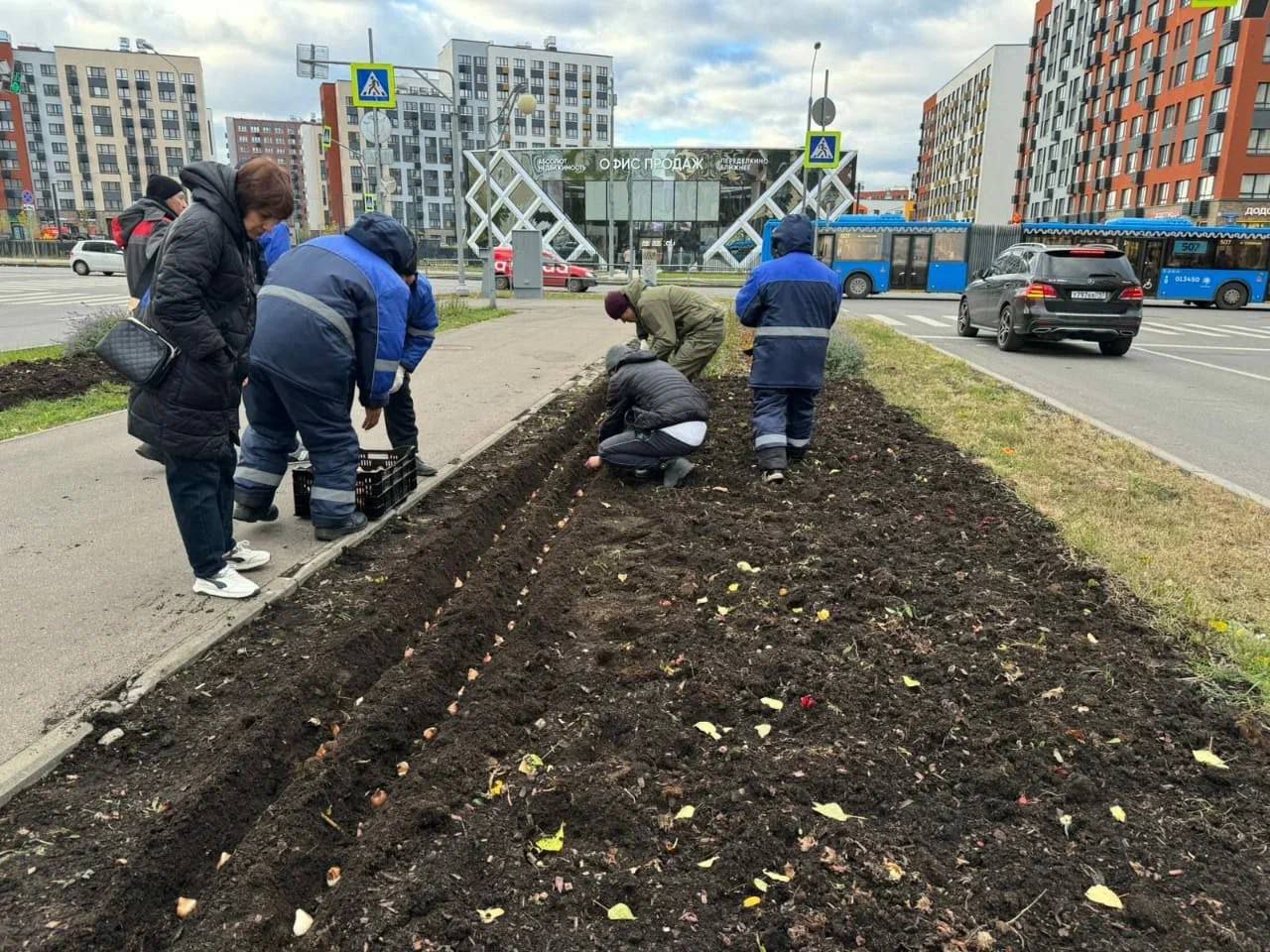 Около 700 тыс тюльпанов высадят в Новой Москве до наступления морозов Это нужно чтобы луковицы успели укорениться до прихода холодов и распустились к майским праздникам Весной эти цветы будут украшать улицы набережные площади скверы парки и общественные пространства Прислать информацию в канал Подписаться на новости Новой Москвы Новая Москва в Max