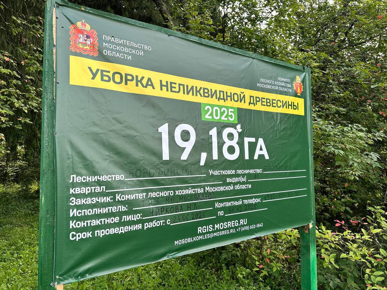 Работы по сануборке леса активно ведутся в Можайском округе Специалисты «Мособллес» приводят в порядок лесные участки вдоль дорог и населенных пунктов и убирают аварийные и сухие деревья. Сейчас работы проводят в лесах Колычево. Общая площадь лесного участка вблизи населенного пункта составляет 19,18 га. Работники «Мособллес» убрали 50% от плана по его расчистке. Помимо Колычево аналогичные мероприятия проводятся вблизи д. Корытово, Гриднево, Ивакино и Антоново. Всего на территории Можайского округа уборка леса запланирована на площади 134 га.