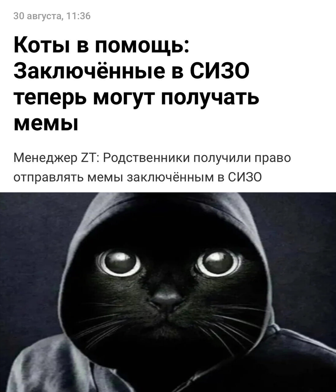 В России теперь можно отправлять мемы заключенным в СИЗО распечатанные картинки с котиками сначала будут проходить проверку а затем их передадут адресату Вор ор в законе