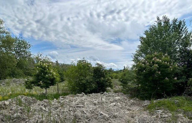 В Новороссийске ущерб от нарушений при очистке прудов в парке Южные пруды превысил 8 миллионов рублей Как сообщает Росприроднадзор подрядная организация разместила илистые отложения на открытом грунте перекрыв плодородный слой почвы на площади около 5 5 тысяч квадратных метров Ведомство направило подрядчику требование о добровольном возмещении вреда Если в течение месяца сумма не будет компенсирована Росприроднадзор обратится в суд для принудительного взыскания Rosprirodnadzor official Радио 104FМ Новая Россия