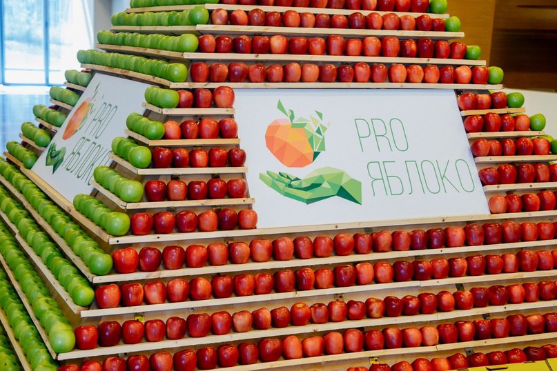 На выставке «PRO ЯБЛОКО 2025» обсудят обеспечение продовольственной безопасности РФ и превращение обычного плода в золотой стандарт 7-я международная выставка технологий выращивания, хранения и сбыта плодово-ягодной продукции стартует сегодня в МВЦ «МинводыЭКСПО» на Ставрополье. Тема: «Сады России». Участвуют российские и зарубежные садоводы, VIP-спикеры. На выставке обсудят актуальные вопросы. Например, сегодня одна из сессий посвящена превращению плодов в золотой стандарт качества, а именно — эффективной организации процессов хранения, сортировки, упаковки, предпродажной подготовки. Т.е. садоводы РФ, что важно, не просто импортозамещают, а стремятся к высокому качеству всего цикла — от выращивания до продаж. Но главное событие на выставке всё же завтра — Всероссийское совещание под руководством главы Минсельхоза, посвящённое выполнению ключевой задачи — продовольственной безопасности по плодам и ягодам.