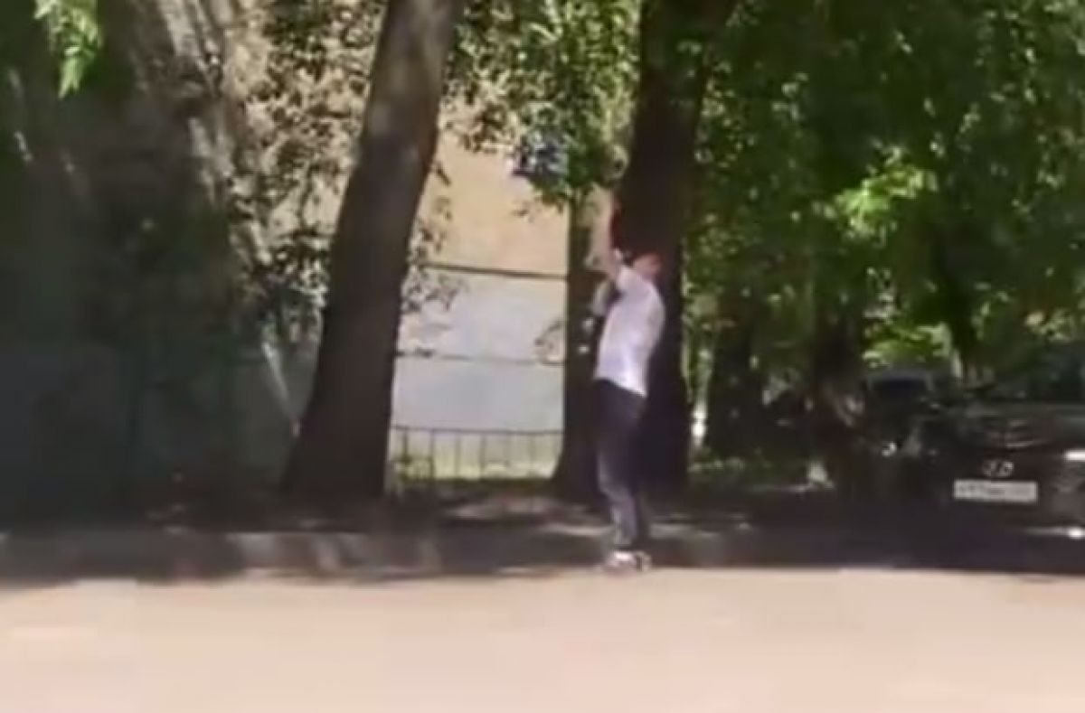 Воронежский стрелок по воронам переполошил местных жителей и воспитанников детского сада Вооруженный пневматическим оружием мужчина уже не впервые борется с птицами, которые гадят на его машину. Такую картину местные жители наблюдают не в первый раз. ↗ Прислать новость Подписаться