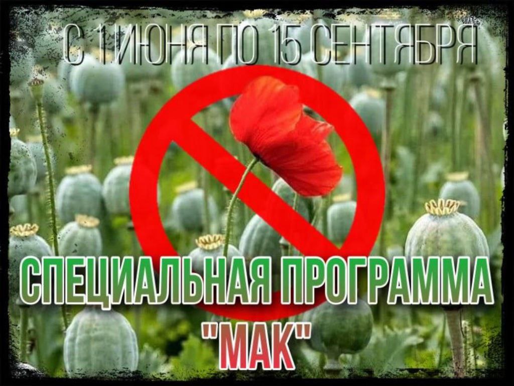 #сп_мак На территории Витебщины проводится специальная программа «МАК» - Анализ ситуации, связанной с изъятием из незаконного оборота наркотических средств и психотропных веществ свидетельствует о сохраняемой наркоугрозе. Из 10,7 кг изъятых на территории Витебской области за 4 месяца текущего года запрещенных веществ 1,7 кг – наркотические средства растительного происхождения, - рассказал заместитель начальника УНиПТЛ УВД Витебского облисполкома подполковник милиции Андрей Зябко. Кроме того, обращает на себя внимание тот факт, что в ряде случаев сбытчики изготавливали наркотик из наркосырья местного произрастания. Данное обстоятельство свидетельствует о необходимости принятия мер по пресечению распространения на территории области наркосырья растительного происхождения, выявлению и уничтожению посевов наркосодержащих растений. Уважаемые граждане! УВД Витебского облисполкома напоминает: за незаконный посев и выращивание наркосодержащих культур предусмотрена административная ответственность ст.17.1. КоАП Республики Беларусь «За незаконные посев и или выращивание растений либо грибов, содержащих наркотические средства или психотропные вещества – штраф до 20 базовых величин. Совершение преступлений в сфере незаконного оборота наркотических средств и психотропных веществ влечет уголовную ответственность по статьям 327 - 334 УК Республики Беларусь. Обращаем внимание на немедленное уничтожение данных культур мак, конопля на своих приусадебных и садовых участках!