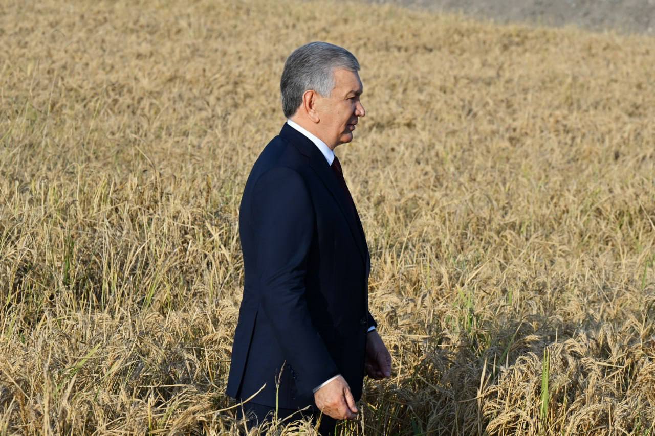 Президент Узбекистана ознакомился с работой рисоводческого кластера TCT Rice в Ташкентской области Президент Узбекистана Шавкат Мирзиёев посетил рисоводческий кластер TCT Rice в Куйичирчикском районе Ташкентской области чтобы ознакомиться с деятельностью предприятия где реализован полный производственный цикл от выращивания риса до его глубокой переработки   English O zbek tilida Ўзбек тилида На русском iOS Android