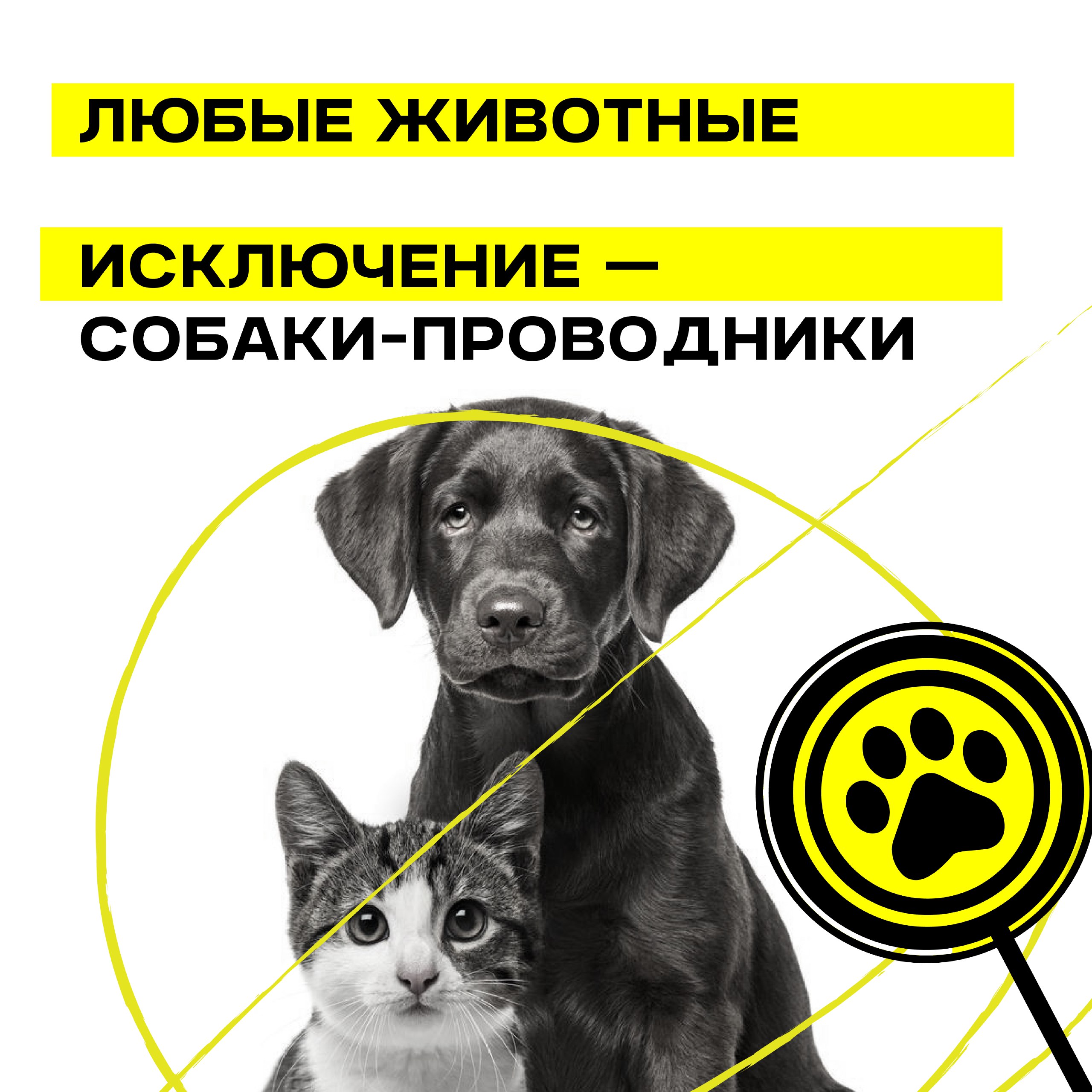 Не нужно брать рюкзаки и большие сумки на праздничные мероприятия в честь 80-летия Победы. В полиции рассказали, что в местах массового скопления людей 9 мая установят контрольно-пропускные пункты и будут проверять всех участников мероприятий. Все это делается для обеспечения общественной безопасности. Смотрите подробности в карточках.
