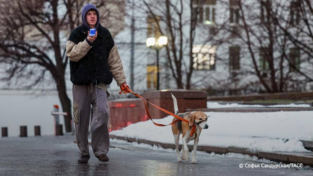 Желтый уровень погодной опасности объявили на трое суток.  Период предупреждения с 01:00 мск понедельника, 17 марта, по 01:00 мск четверга, 20 марта.  Аналогичный уровень введен на тот же период также на территории Подмосковья.  Фото: ТАСС