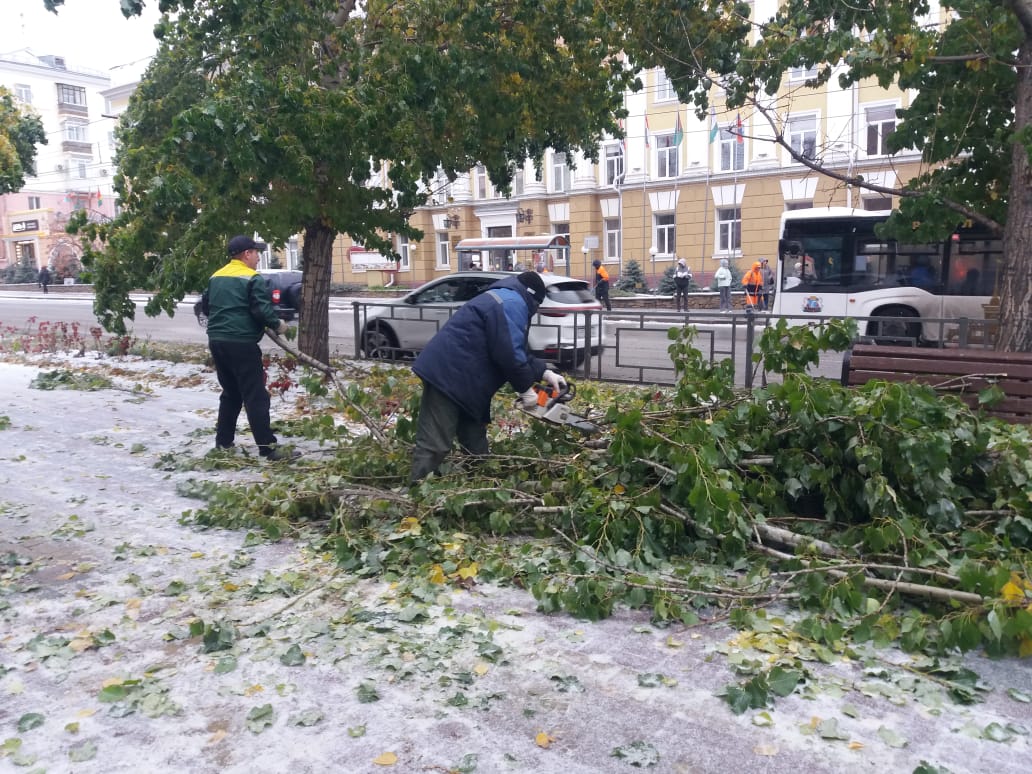 Городские службы продолжают ликвидацию последствий непогоды   В связи с неблагоприятными погодными условиями 12 октября, обусловленными прохождением дождя и мокрого снега, понижением температуры до -2º С, зарегистрировано 53 происшествия различного характера.  Произошло падение 34 деревьев, 7 крупных веток, повреждено 22 автомобиля. Пострадавших нет.  Для ликвидации последствий комплекса неблагоприятных метеоявлений в готовности к реагированию создана группировка сил и средств в количестве 509 человек, 197 единиц техники.  По очистке и подсыпке дорог и тротуаров, обрезке деревьев задействована группировка в составе 20 бригад, 141 чел., 83 ед. тех. МБУ «Автодорстой» г.Барнаула и МБУ «Благоустройство и озеленение».  По уборке придомовых территорий задействован 781 дворник.  Произошло 11 аварийных ситуаций на линиях электропередач,  всего под отключение электроэнергии попало 10 населенных пунктов. Устранено 7 повреждений, в работе 4.  По состоянию на 16:00 без электроснабжение ограничено в 4 поселках частично: п. Мохнатушка,                  п. Бельмесево, мкр. Затон,  ст. Ползуново.  По восстановлению аварийных ситуаций на линиях электропередач задействовано 10 бригад, 30 чел., 11 ед. тех.   Аварийные службы Горэлектротранса и три трамвайных вагона выехали на городские улицы для очистки контактной сети от наледи.   Работы по ликвидации последствий продолжаются.