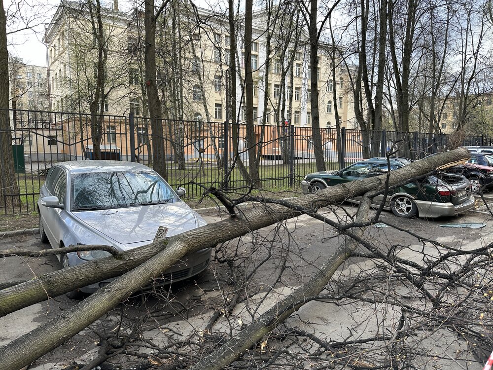 Около 80 деревьев рухнуло в Московском регионе во время грозы В Подмосковье буйство стихии привело к падению почти 80 деревьев и повреждению семи автомобилей. Об этом сообщает Telegram-канал РИА Новости со ссылкой на данные экстренных служб. пресс-служба уведомляет, что в городском округе Истра также обрушилась вышка сотовой связи. Накануне региональное управление МЧС предупредило о надвигающейся грозе, ливне, граде и сильном ветре. В столице также был…