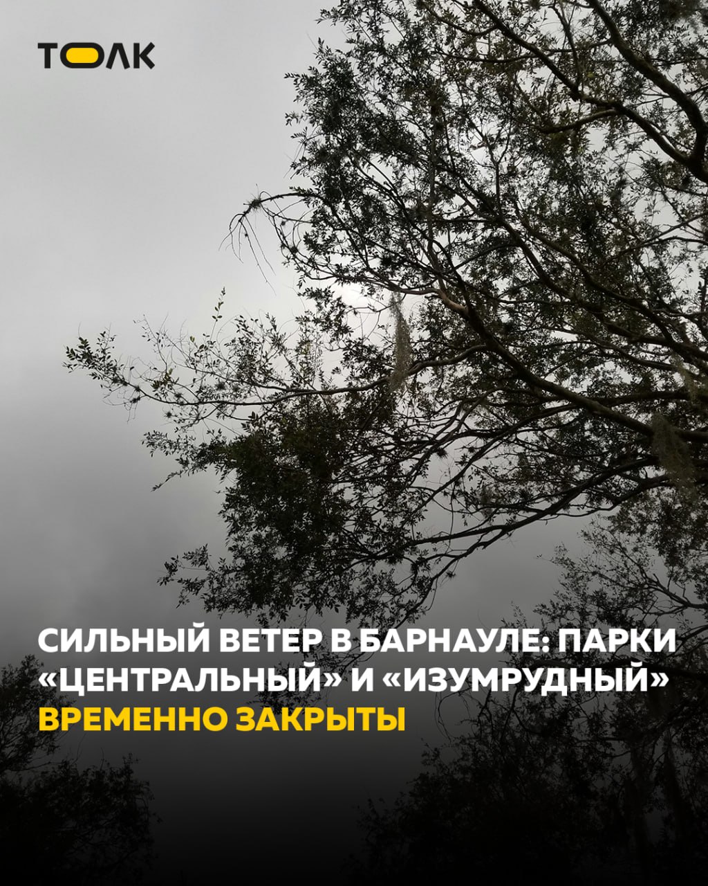 Парки Центральный и Изумрудный временно закрыты из за непогоды 1 и 2 ноября в Барнауле ожидаются сильные порывы ветра до 20 м с дождь и мокрый снег В связи с этим Парк культуры и отдыха Центральный закрыт для посещения Также входы в парк Изумрудный со стороны проспекта Комсомольского будут закрыты до завтрашнего утра Горожан просят воздержаться от прогулок в парках ради собственной безопасности Будьте осторожны при сильном ветре лучше оставаться в помещениях не прятаться под деревьями и избегать открытых пространств ТОЛК ТОЛК в Мах