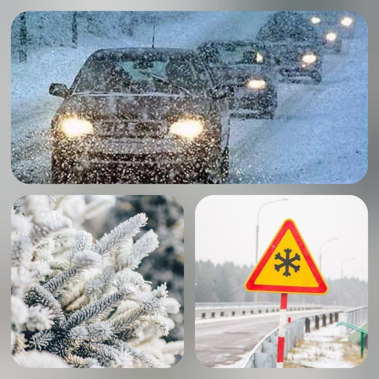 Будьте в курсе   Гомельоблгидромет предупреждает о неблагоприятном погодном явлении Объявлен оранжевый уровень опасности Днем 8 января во многих районах области и в Гомеле ожидаются сильный снег метель на дорогах снежные заносы на большей части территории региона сильный ветер порывами 15 20 м с 9 января по территории Гомельской области ожидаются сложные погодные условия на дорогах снежные заносы на большей части территории области сильный снег мокрый снег местами очень сильный во многих районах метель и сильный ветер порывами 15 20 м с