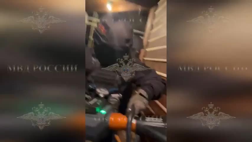 В Новосибирской области сын заказал убийство матери из-за финансовых споров