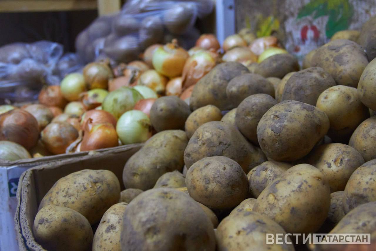 В Татарстане подорожали помидоры, огурцы и сливочное масло  В Татарстане продолжается снижение цен на овощи из борщевого набора и яблоки, в то время как наблюдается рост цен на помидоры, огурцы и масла, передает Татарстанстат.  Помидоры подорожали на 1,41%, достигнув 127,92 рубля за килограмм. Огурцы увеличились в цене на 5,29% — до 105,57 рубля за килограмм. Сливочное масло стало дороже на 1,89%, составив 857,77 рубля за килограмм, а подсолнечное масло — на 1,74%, до 121,63 рубля.  Среди овощей борщевого набора заметнее всего подешевела белокочанная капуста, морковь, картофель, свекла и репчатый лук. Также яблоки стали дешевле на 1,96%.   Подписаться   Сообщить новости