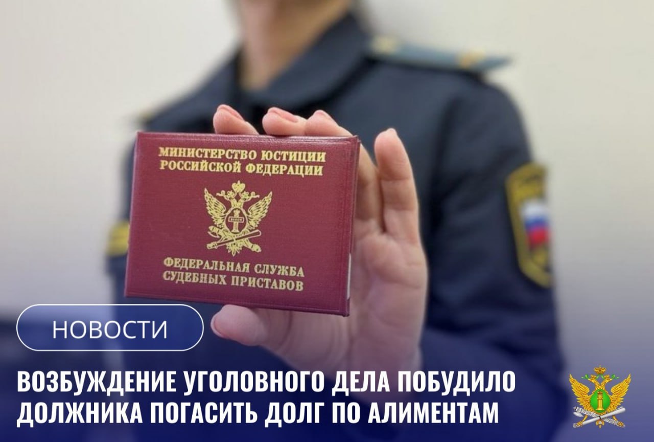 Благодаря грамотным действиям судебного пристава в пользу несовершеннолетних детей взыскано более 200 тысяч рублей. По решению суда гражданин обязан ежемесячно выплачивать алименты на содержание девятилетней дочери и четырехлетнего сына. Соответствующее исполнительное производство возбуждено в отделении судебных приставов № 1 по г. Благовещенску. Исполнять решение суда мужчина не торопился, ежемесячные платежи не оплачивал. В результате образовалась задолженность в размере 242 тысячи рублей. Сотрудник службы неоднократно вызывал должника в отделение службы. Судебный пристав проводил беседу с неплательщиком о необходимости погашения задолженности, предупреждала его о последствиях неисполнения решения суда, однако тот продолжал игнорировать требования. Тогда сотрудник органа принудительного исполнения в отношении должника составил административный протокол за неуплату средств на содержание несовершеннолетних детей. Судья, рассмотрев материалы дела, назначил ему наказание в виде 30 часов обязательных работ. Мужчина продолжил игнорировать требование сотрудника службы. В итоге в отношении гражданина возбуждено уголовное дело. Материалы уголовного дела направлены для рассмотрения в суд. Не желая быть привлеченным к уголовной ответственности, гражданин исполнил свои обязанности перед детьми и погасил алиментный долг в полном объеме. В настоящее время уголовное дело прекращено в связи с оплатой задолженности.
