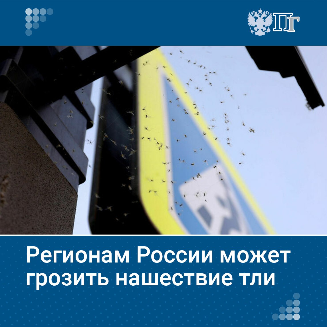 Председатель Союза дачников Подмосковья, депутат Госдумы Никита Чаплин отметил, что теплая и почти бесснежная зима может повлиять на урожайность в средней полосе в 2025 году из-за увеличения численности вредителей и сорняков. Парламентарий также указал на возможность нашествия тли в отдельных регионах, особенно там, где было значительное потепление.  Ранее Россельхозцентр при Минсельхозе представил доклад, в котором говорится о возможном нашествии саранчи в 1,5 раза большем, чем в 2024 году, в 21 регионе из-за тёплой зимы.    Что ждет дачников в летнем сезоне, разбиралась «Парламентская газета».   Подписаться на «Парламентскую газету»