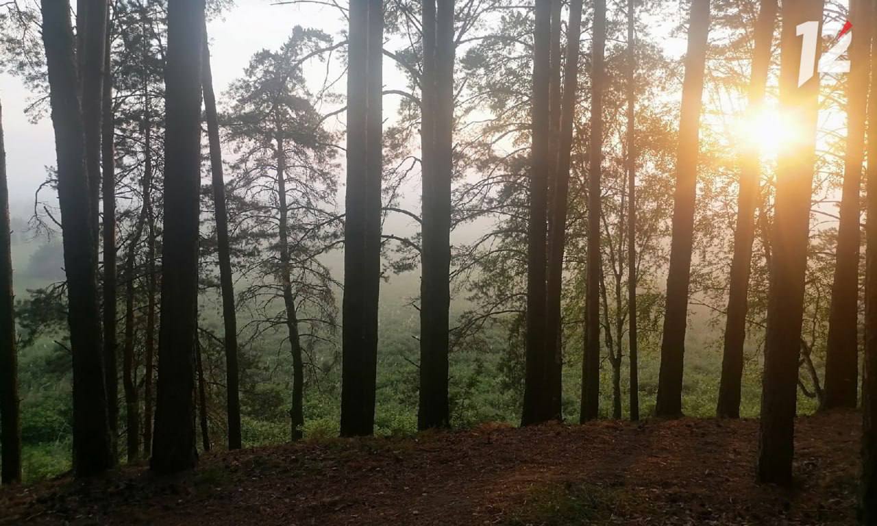 В Омской области появятся два новых лесхоза для восстановления лесов Их создадут в Тарском и Нижнеомском районах В Нижнеомском районе появится новый лесхоз с собственными участками техникой и оборудованием В Тарском районе на базе имущества Колосовского лесхоза планируется организация до пяти лесохозяйственных участков с закрепленной техникой и оборудованием Это поможет сохранить уникальные омские леса обеспечить непрерывность работы и рациональное использование ресурсов Вся Сибирь Подписаться в Telegram Читать в MAX kanal12omsk новости Омскаяобласть