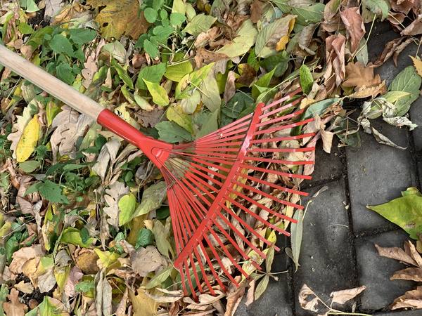 Взял деньги и исчез задержан мошенник за обман участника СВО В Волжском стражи порядка задержали неоднократно судимого 37 летнего местного жителя за мошенничество В августе этого года он взял 120 тысяч рублей за уборку дачного участка бойца но спустя несколько месяцев перестал выходить на связь а дачный участок так и не был убран В полицию обратился брат военного Открытый Волжский в MAX