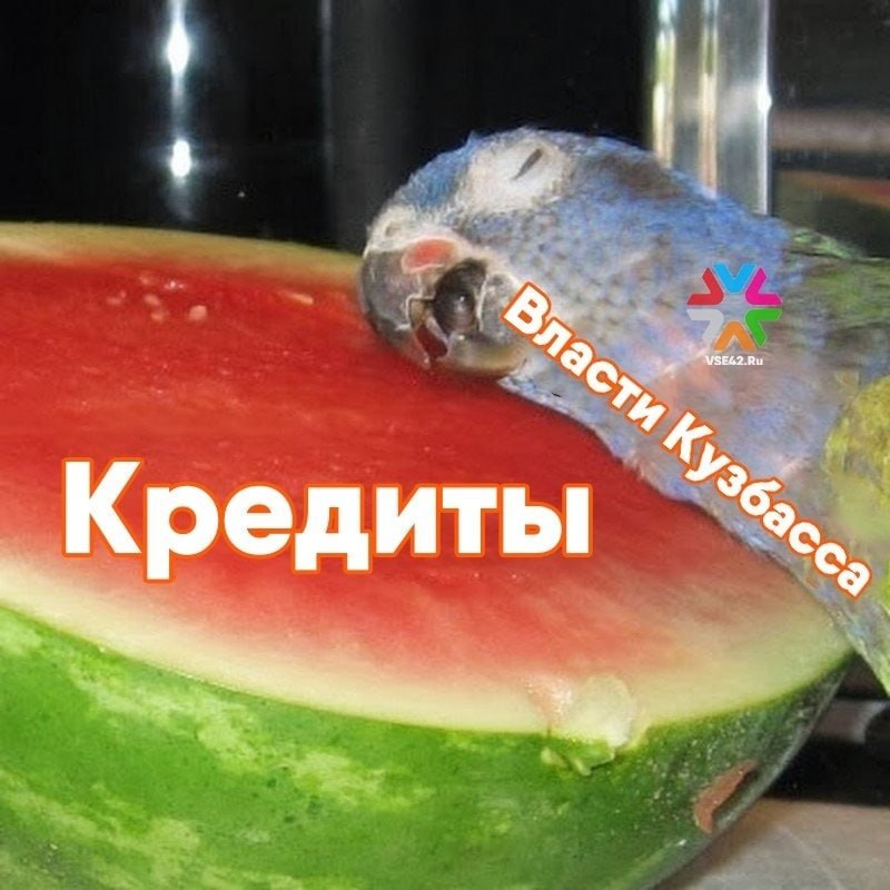 Кемеровская мэрия решила взять кредиты до 700 млн рублей из за долгов и дефицита В Кемерове где бюджет остается дефицитным решено набрать кредиты в банке Как указано на госзакупках мэрия в четверг объявила сразу шесть тендеров на предоставление кредитной линии Общий лимит по ним 700 млн рублей а заплатить за них предлагается от 30 7 до 61 5 млн рублей Деньги на оплату будут взяты из бюджета Кемерова на 2025 2026 и 2027 годы Необходимы эти кредитные миллионы на финансирование дефицита бюджета и или погашение долговых обязательств города Пройдут все шесть аукционов в один день 5 ноября Накануне было утверждено исполнение городского бюджета за девять месяцев Из постановления мэра Дмитрия Анисимова следует что доходы кемеровской казны составили почти 22 млрд рублей расходы почти 23 млрд рублей а дефицит почти миллиард рублей     Подписаться на VSE42 Ru   Подписаться на нас в MAX