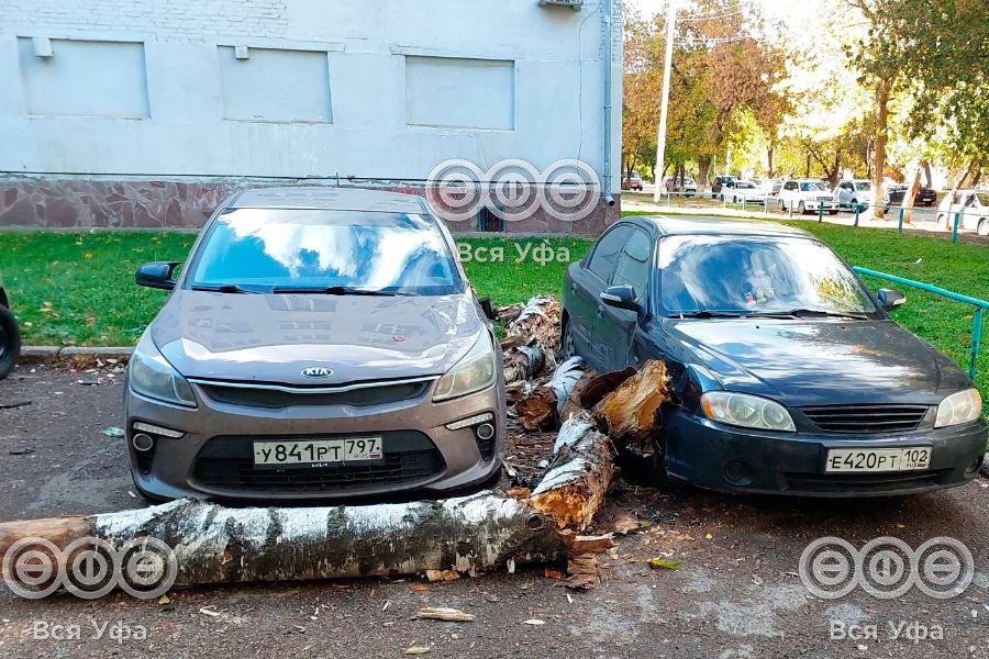 Едва не придавило деревом: наши подписчики сообщают о том, что во дворе дома по улице Свердлова, 72/2 упало дерево   Двое прохожих успели отбежать, однако ствол  повредил автомобили.  «Это уже второе упавшее дерево. Меры не принимаются», — заявили местные жители.