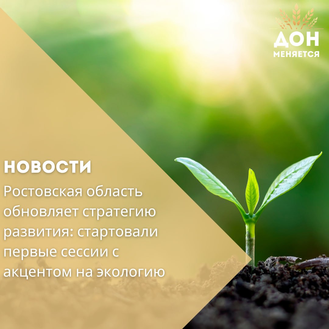 В Ростовской области началась работа над обновлённой стратегией социально-экономического развития региона. Инициатором стал врио губернатора Юрий Слюсарь — о необходимости обновления он заявил в апреле во время отчёта перед Заксобранием. Первая стратегическая сессия прошла в Ростове на базе региональной «Точки кипения» и была посвящена вопросам экологического благополучия. Участие приняли учёные, представители власти, промышленных предприятий и экологических организаций. Работа велась по шести направлениям: «Чистый Дон», «Экология леса», «Мониторинг и биоразнообразие», «Замкнутый цикл и переработка отходов», «Плодородие земель» и «Защита от ЧС». Участники предложили ряд инициатив — от природоподобных систем очистки водохранилищ и воспроизводства водных ресурсов до создания орошаемых лесных питомников и экотроп. Предложения будут рассмотрены профильными структурами и включены в обновлённую стратегию, которую планируется доработать в течение лета. Юрий Слюсарь подчеркнул, что документ должен учитывать мнение жителей, быть ориентированным на новые национальные приоритеты и реальные потребности региона.